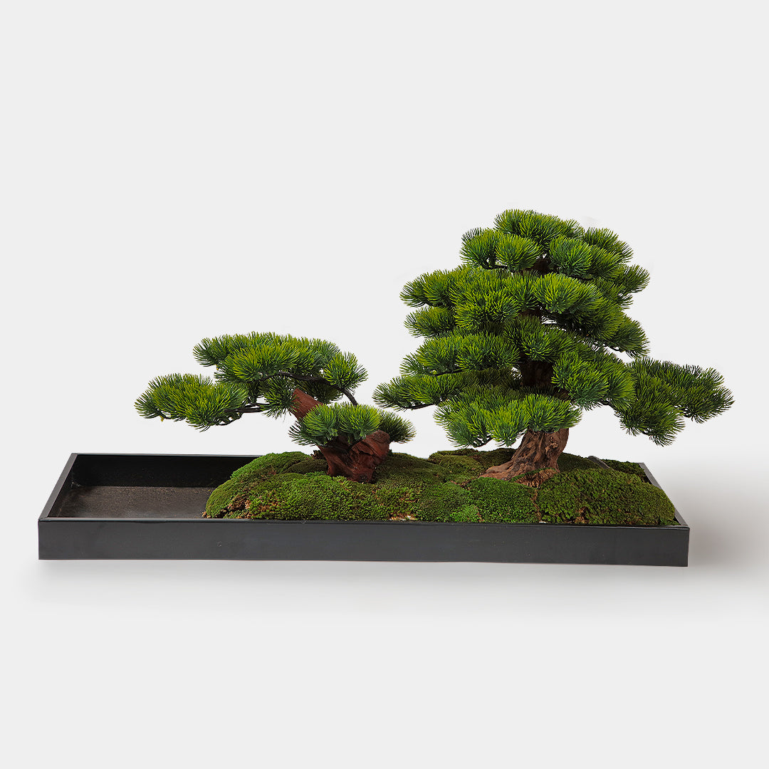 Nara Bonsai